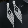 Luxury Super Flash Full Diamond Long Fringed Earrings for Women