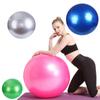55cm Impact Resistant Athletic Yoga Ball with Pump Pilates Fitness Gym Balance Stability Swiss Ball Exercise Exercise Massage Ball