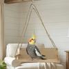 Com Corrente Baloiço para Pássaros Estilo Banco Cama Suspensa Criativa para Papagaio Acessórios para Gaiola de Pássaros