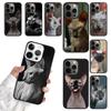 Sphynx Sphinx Katze Handyhüllen Cover Für iPhone 17 Air 16 15 14 12 13 11 Pro MAX apple Plus Hülle