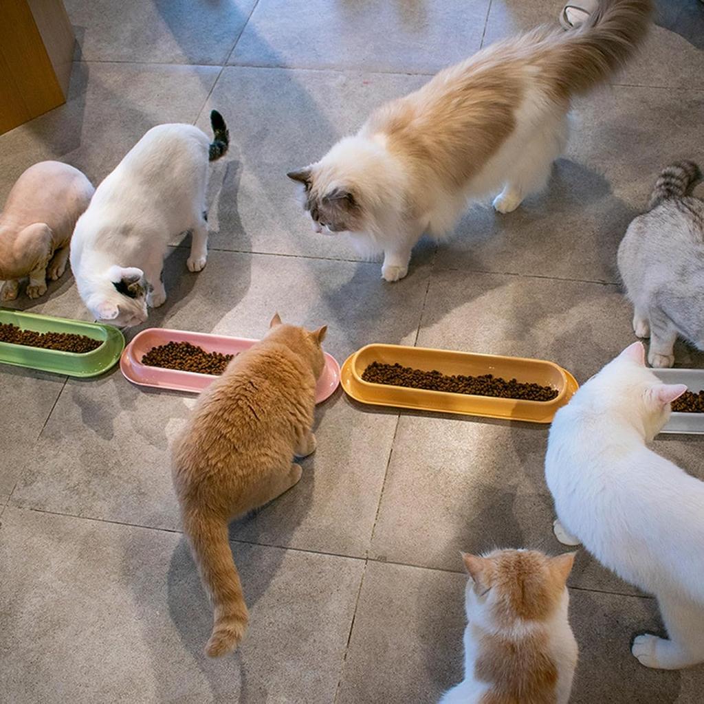 3-Piece Cats Feeding Dish - Long Multiple Cats Dining Bowl with Skidproof Bottom - Food & Water Bowl - Easy to Wash