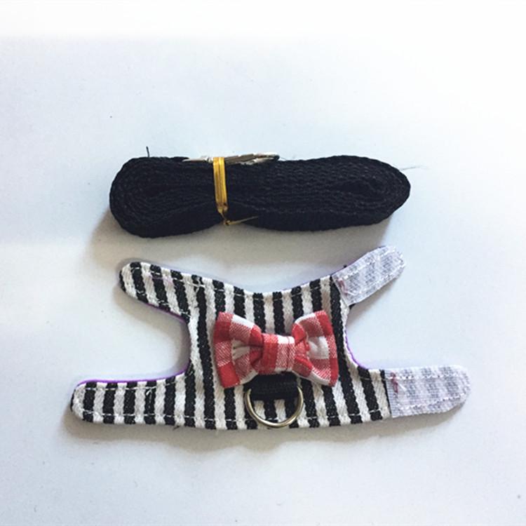 Adjustable Leash and Harness for Small Pets: Rabbit, Chinchilla, Ferret, Squirrel, Hamster, Guinea Pig, Mouse