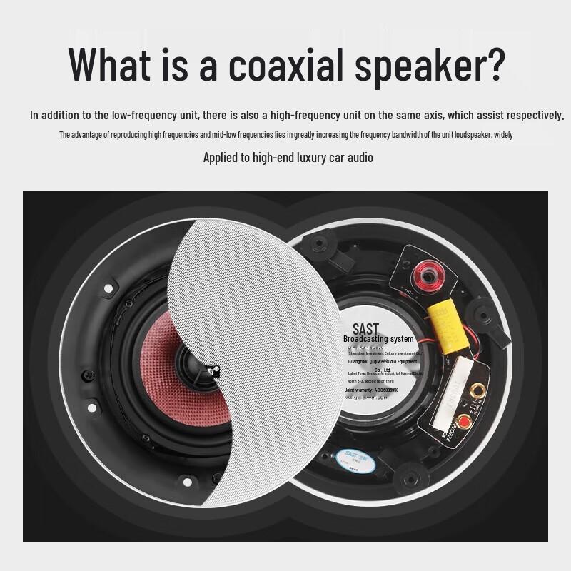 SAST 6.5-inch Frameless Coaxial In-Ceiling Speaker Kit CN Plug (adapter Included)