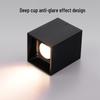 Oeny Dual-Head Surface Mount LED Spotlight