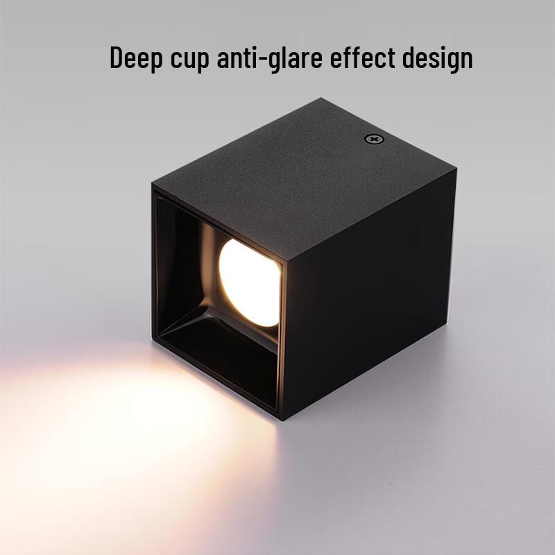 Oeny Dual-Head Surface Mount LED Spotlight