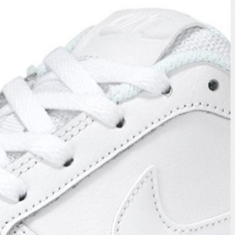 Nike Evernon Low Sneaker Aq1775 100