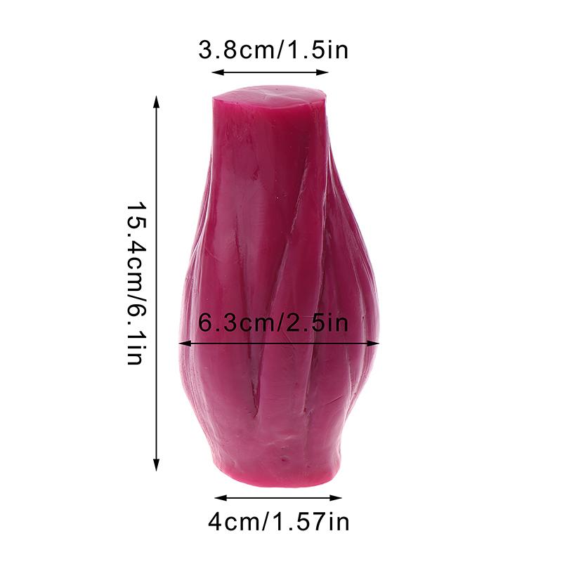 Safe Human Muscle Structure Model 1 Lb Muscle Model Realistic Human Body Replica Teaching Display Educational Medical Tool