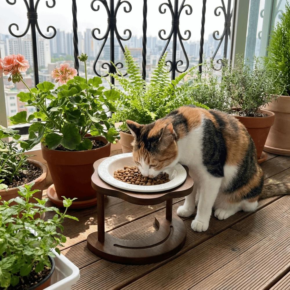 Anti Slip Elevated Cat Water Bowl High Foot Cat Feeding Station Ceramic Cat Bowl Wet Dry Food