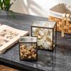 Nordische Glasglocke Schmuck- und Kosmetik-Aufbewahrungsbox