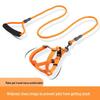 Adjustable Dog Leash and Collar Set for Small, Medium, and Large Dogs - Ideal for Walking Pets like Teddy and Golden Retriever