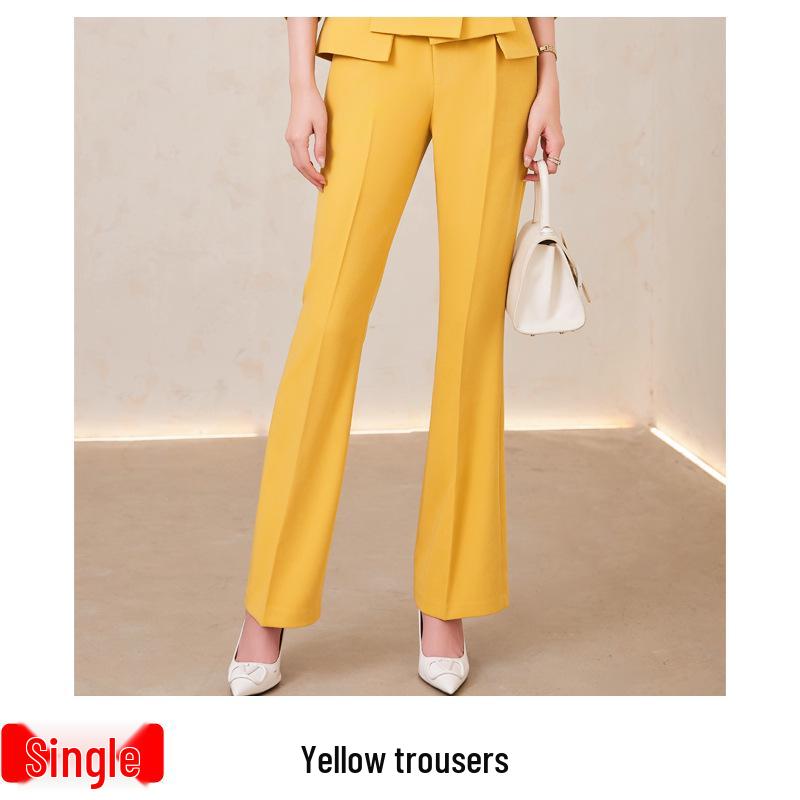 Women's Professional Spring/Autumn Suit Set: Elegant Host & Formal Wear for Salon or Work