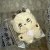 (sin abrir) Muñeca de Park Ji-hoon