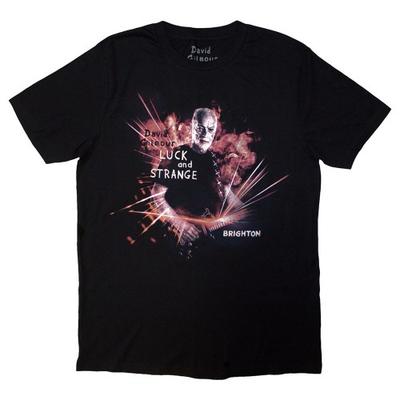 David Gilmour Unisex Adult Luck & Strange Brighton Back Print T-shirt