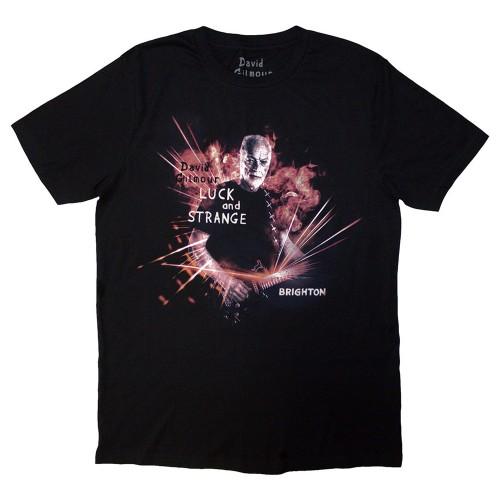 David Gilmour Unisex Adult Luck & Strange Brighton Back Print T-Shirt