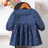 Girls Strawberry Embroidered Denim Dress Peter Pan Collar Princess Casual Spring Autumn Jean Dress For Kids