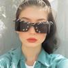 Punk Rivet Sunglasses Unisex Metal Studded Fashion Shades