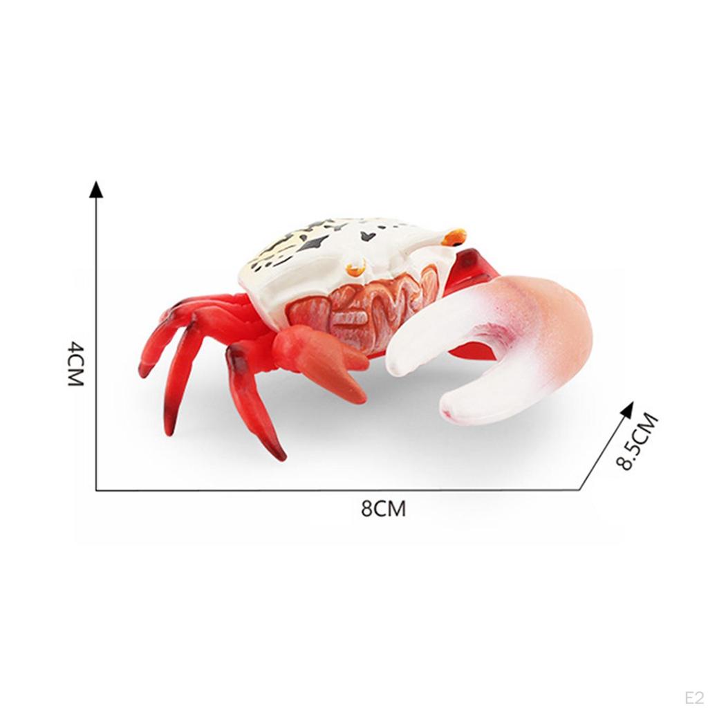 Hand Painted Mini Crab Figurines Model Realistic Detailed Action Figures for Children Kids