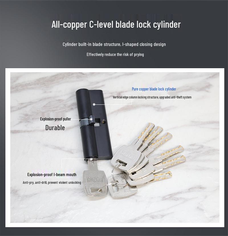 Black Offset Axis Anti-theft Door Lock with 304 Stainless Steel Handle for Wooden Entrance Doors