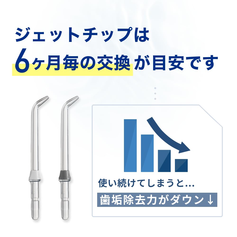 Waterpik WP Jet Tip Nozzle Jet Tip Nozzle Replacement Nozzle [Genuine Product] JT-450E 2-Pack