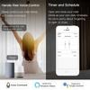 Graffiti Smart WiFi Curtain Switch with Remote Timer & Alexa Compatibility