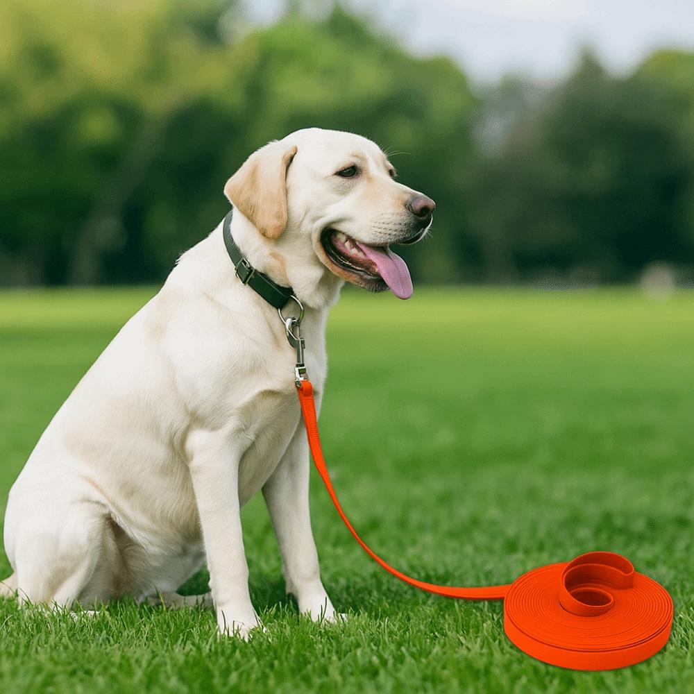 3/5/10/15m Long Dog Leash Waterproof Pet Training Leash Sturdy PVC Dog Leash  Hiking