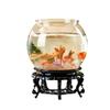 Transparent Mini Round Turtle and Goldfish Tank for Home or Office