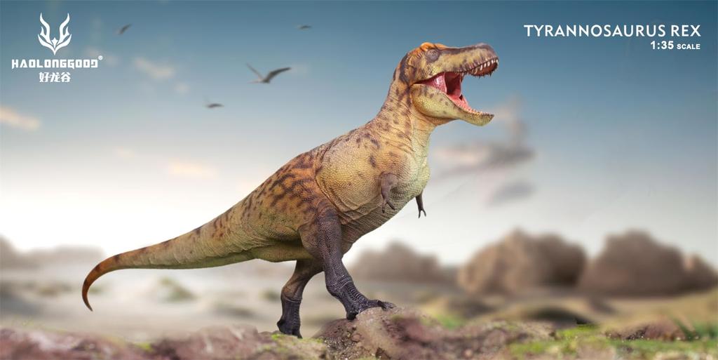 HAOLONGGOOD 135 Scale Tyrannosaurus Rex, 33cm, PVC, CE Painted, Cretaceous Period, Tyrannosauridae, Carnivorous Dinosaur Figure, Realistic Model,