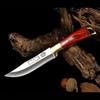 Stainless Steel Boning Knife Fruit Vegetable Slicer Cooking Tool with Cover
