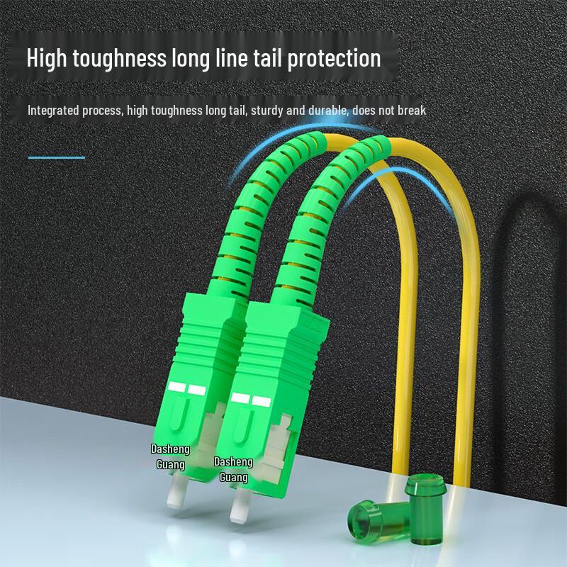 Dasheng Light Single-Mode Fiber Optic Patch Cord