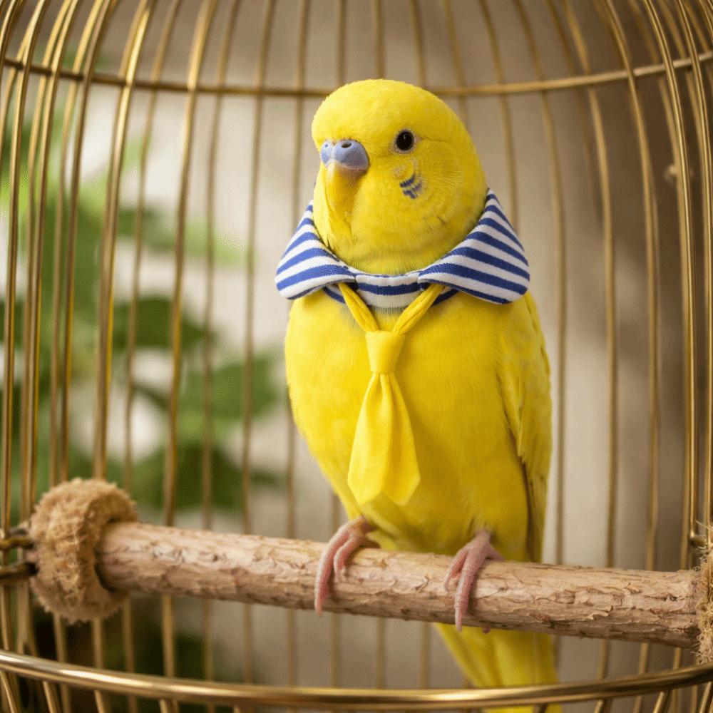 Striped Parrot Necktie Adjustable Parrot Collar Pet Flight Suit Little Bird Costume  Pet Decoration