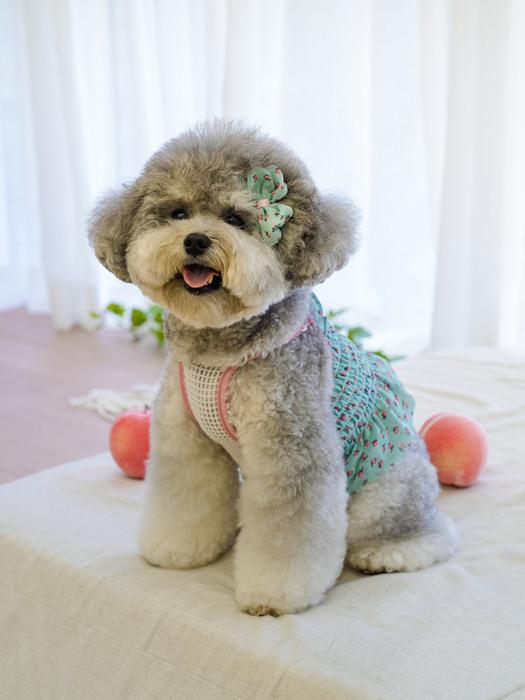 

SALTYHEARTY Hello Crop Blouse Peach Mint Peach Mint