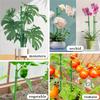 10set Plant Support Piles Plant Climbing Support Frame Green Plant Support Rods For Potted Tomatoes Peonies Lilies Roses