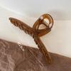 Korean Textured Jelly Color Versatile Shark Hair Clip for Styling