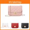 Trendy Women's Shoulder Bag 2021 Embroidery Small Square Bag With Chain Strap