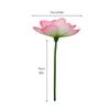 Romantic Artificial Lotus Handmade Fake Lotus Branch Simulation Lotus Leaf  Balcony
