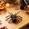 Decoratieve Terrarium Accessoires Realistische Spinnenbeeldje, Levensgetrouwe Nep Tarantula Figuur, Plastic Dier Kinderverjaardagscadeaus Model voor
