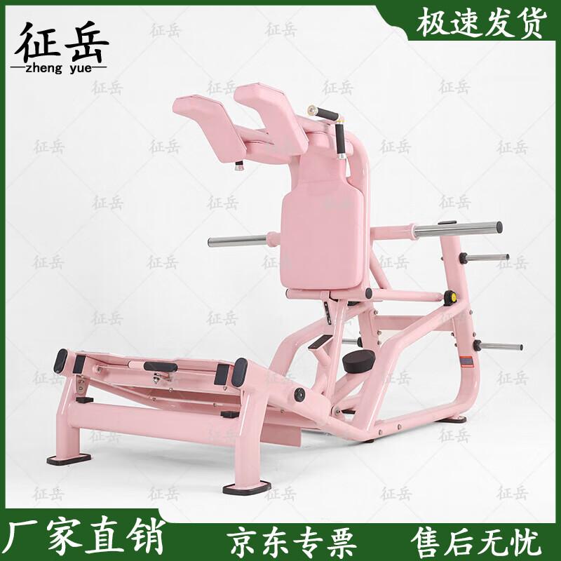 Zhengyue Hack Squat & Leg Press Machine