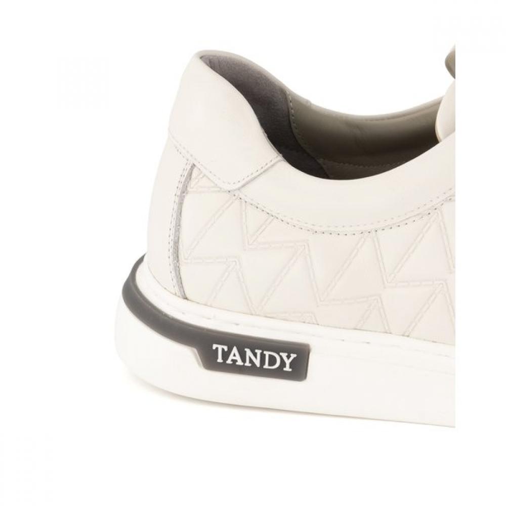 Tandy Men S SneakerS  C 1363 