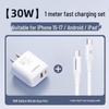 PISEN 30W GaN Fast Charger Kit for Apple & Android, Dual-Port Plug, New Model