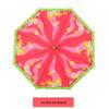 Accesorii – Umbrele