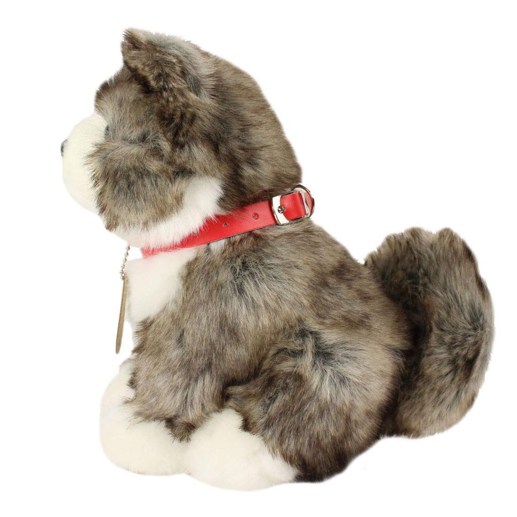Cute Sale Akita Inu Tiger Hair M D0020 H23×W14×D22cm