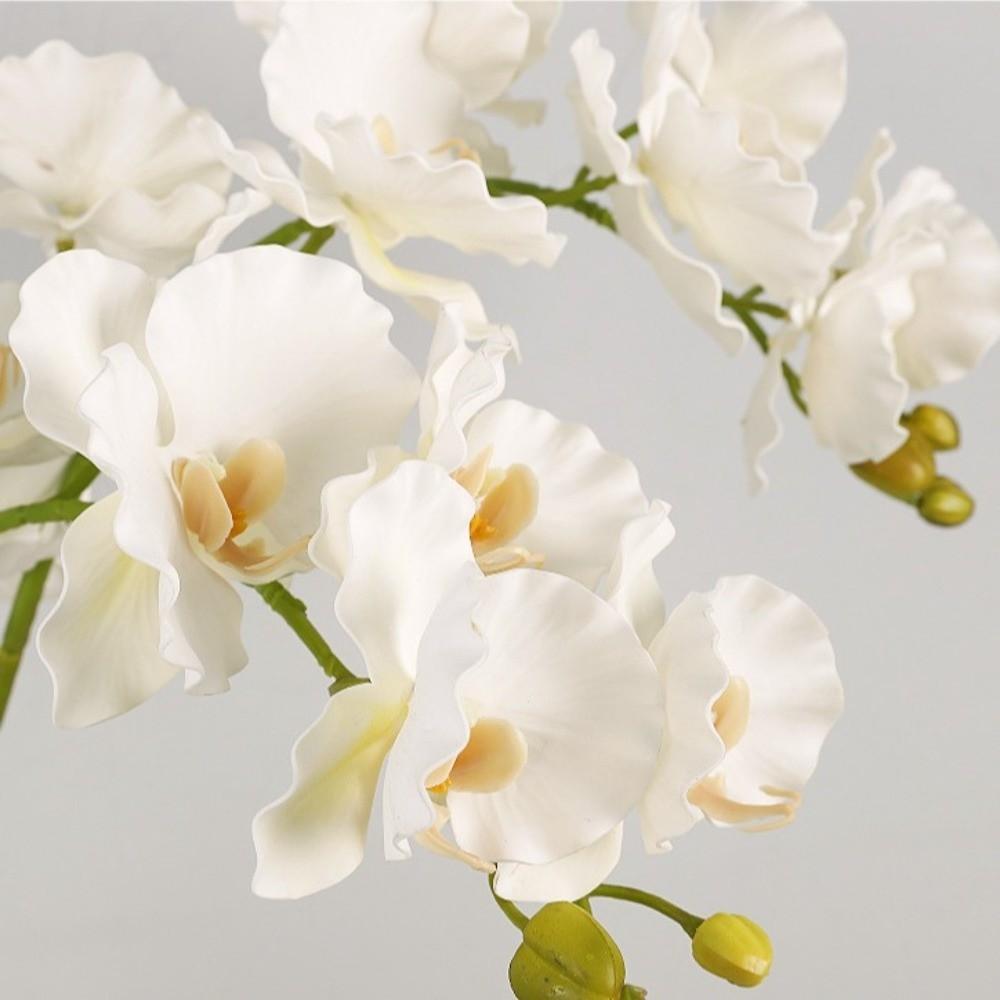 Handmade Simulation Big Moth Orchid Real Touch Faux Phalaenopsis  Wedding Party Favors