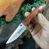 BK 269 Folding Knife 440C Blade Wood Handle Multipurpose Pocket Knife Utility Knives Stainless Steel Knife Kitchen Accessories
