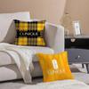 World-Renowned Brands Clinique-E Pillow Case Comfort Sofa Bed Silky Elegant Invisible Zipper Decorative Cushion Cover