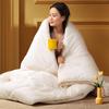 FUANNA Antibacterial All-Season 2-in-1 Soy Fiber Duvet