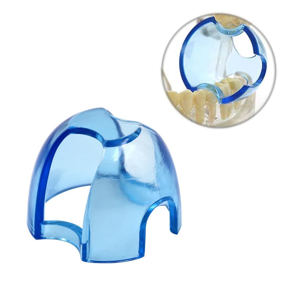 10 piezas/paquete Retractor labial doble para autoclave dental Dilatador de dientes Abridor Dientes anteriores/posteriores Mejilla Retractor labial Abridor de boca