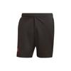 Sports Shorts Men's Black Moderate GK9644