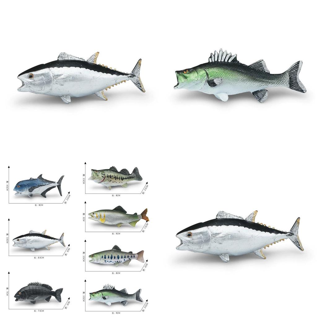 Meerestier Statisches Modell Spielzeug Mit Realistischem Fischdesign Für Sammler Und Dekoration
