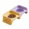 Leak-Proof Raised Pet Feeder Removable Pet Feeding Dish High Quality Elevated Cat Bowl  For Dogs