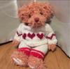 [USED] RUSS Pink Teddy Bear with Clothes